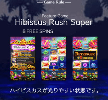Hibiscus Rush Super ハワイアンドリームクリスマスのハイビスカスラッシュスーパー1